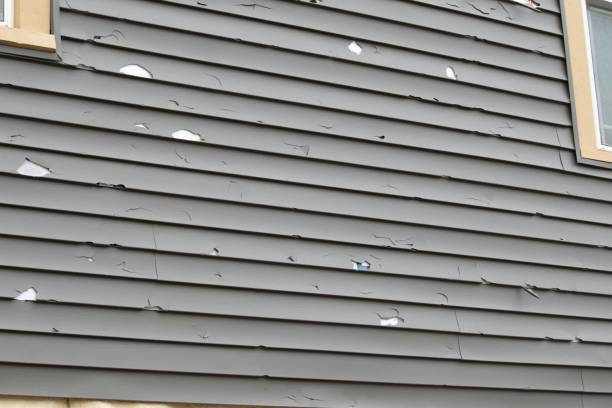 Best Custom Siding Design  in Newark, CA